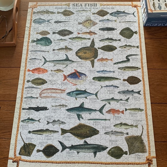 Eurographics Sea Fish 1,000 piece jigsaw puzzle - Picture 1 of 4